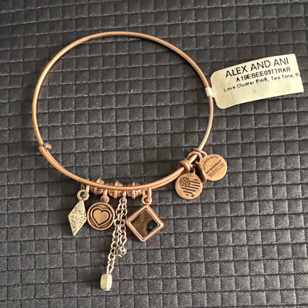 Alex and Ani Two-Tone Charm Bracelet